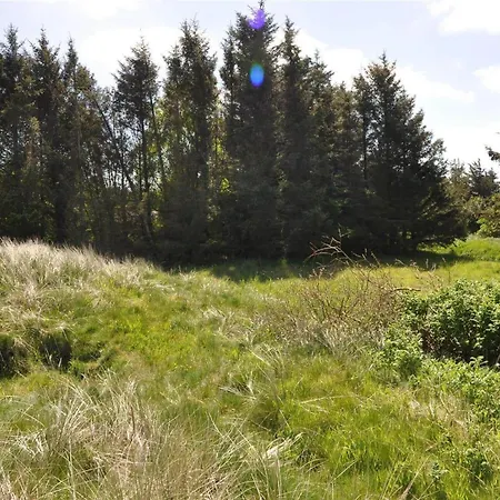 Hébergement de vacances 60601-ulfborg-sdr-fjandvej-18 *