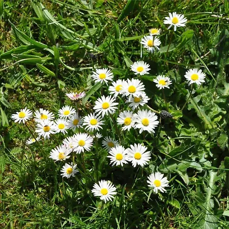 60601-ulfborg-sdr-fjandvej-18 * Fjand Gårde